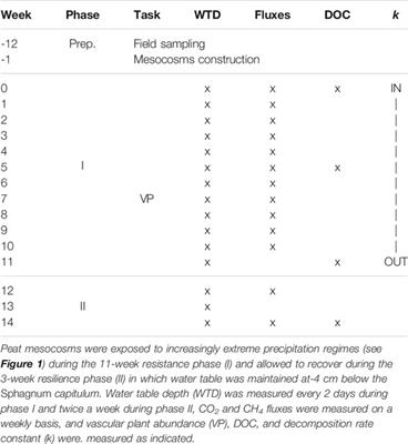 Come Rain, Come Shine: Peatland Carbon Dynamics Shift Under Extreme Precipitation